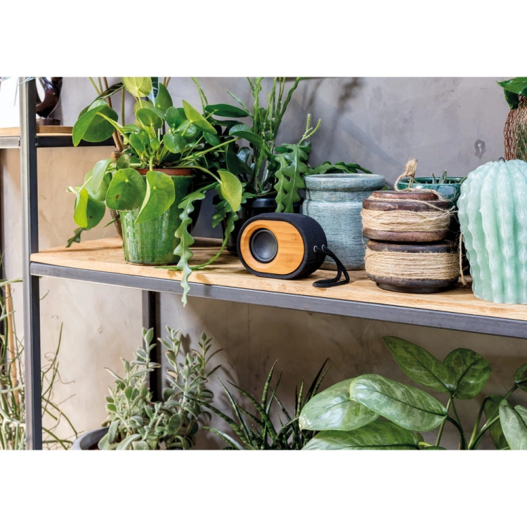 a48b6df64c01e31478d4c879ff1b551f