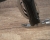 6567031320f615e0380f03d65df18d06