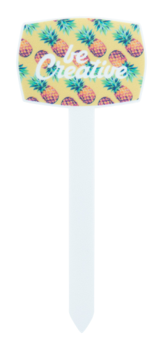 44680247e244a06fd1708c7df6b49749