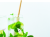 b8ecfcacdd39afa705f37c1e4431e7b8