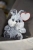 202ad05d5710fbe94cbef214910c9c84