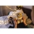 6a2036a30a9c36ca42f4b8791b0c277e