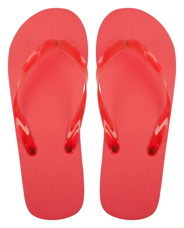 29d05d68553aaa48578ad149e390856a