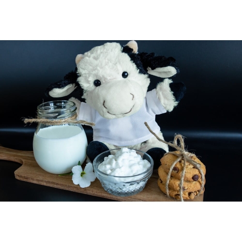 9e7ed57867936f3eafd79a2e2eda9fc6