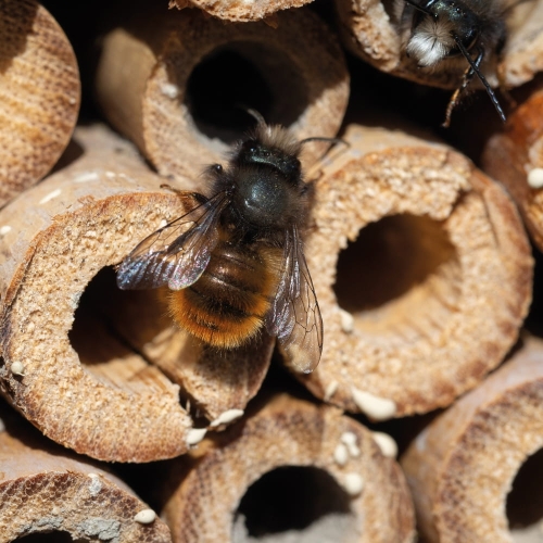 5782f588112471624c453017909f6156