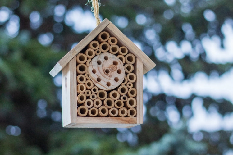 47c85e71a20b8f926bde1193e9251252