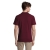 s11362-bg-back.jpg