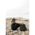 1f0c39195025ebaab7a30d95865bb5ad