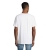 s03806-wh-back.jpg