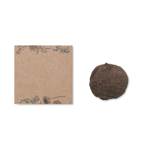 mo6908-13-back