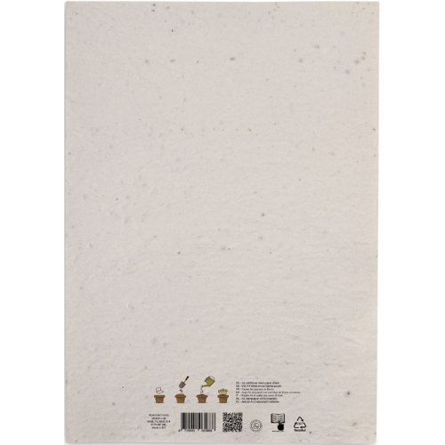 mo6914-06-back