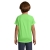 s01166-ng-back