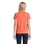 s03575-po-back