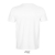 s03805-rh-back