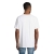 s03806-wh-back