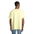 s03806-ly-back