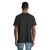 s03806-db-back