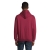 s03815-bg-back