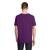 s03981-pa-back