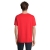 s03981-bt-back
