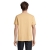 s03981-df-back