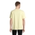 s03981-ly-back