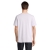 s03981-ll-back