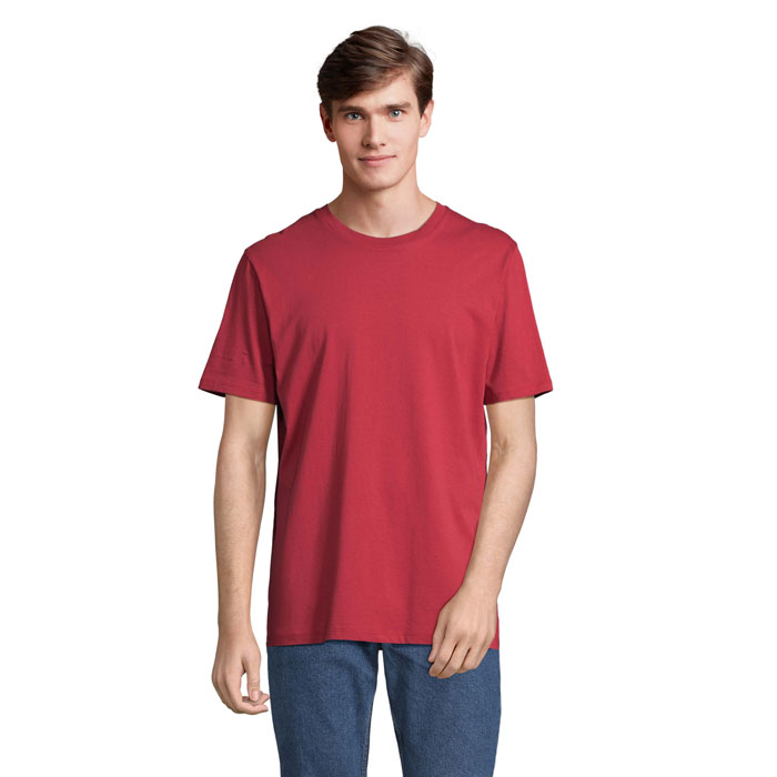 s03981-fr