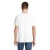 s03981-nb-back