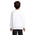 s04239-wh-back