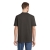 s04242-gc-back