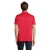 s04442-rd-back