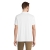 s04442-wh-back