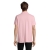 s04502-ax-back