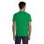 s04728-sf-back