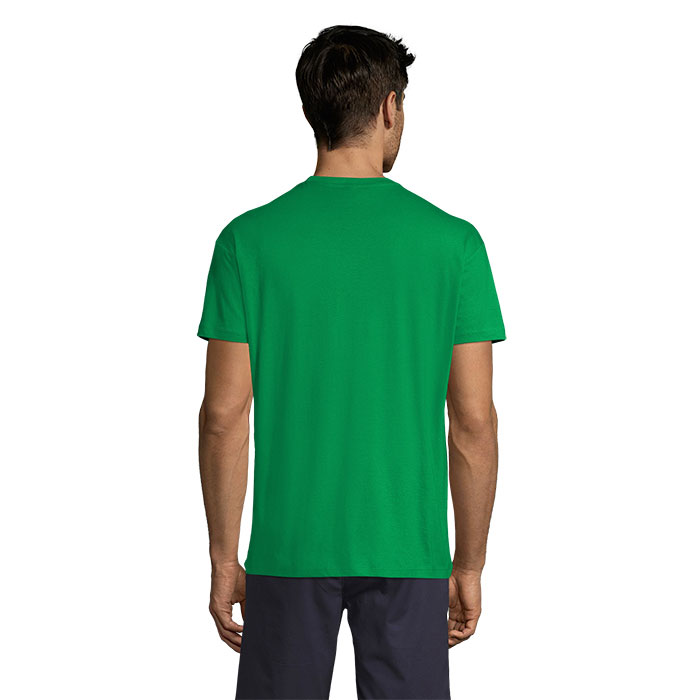 s04728-sf-back
