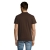 s11342-ch-back