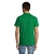 s11342-kg-back