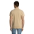 s11342-sa-back