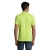 s11346-ag-back