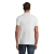 s11346-as-back