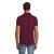 s11346-bg-back