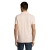 s11346-cp-back