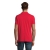 s11346-rd-back
