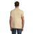 s11346-sa-back