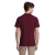 s11362-bg-back