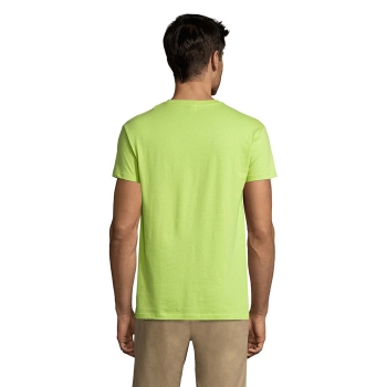 s11380-ag-back