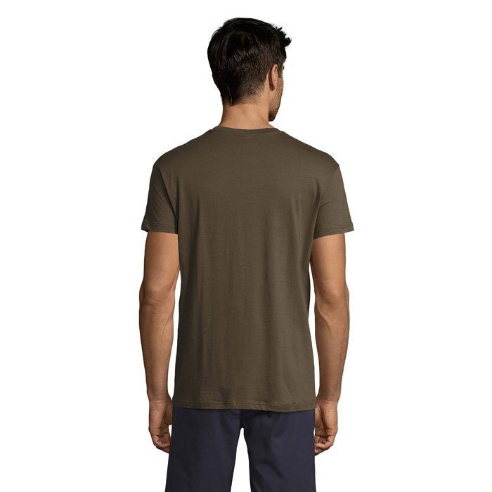 s11380-ar-back