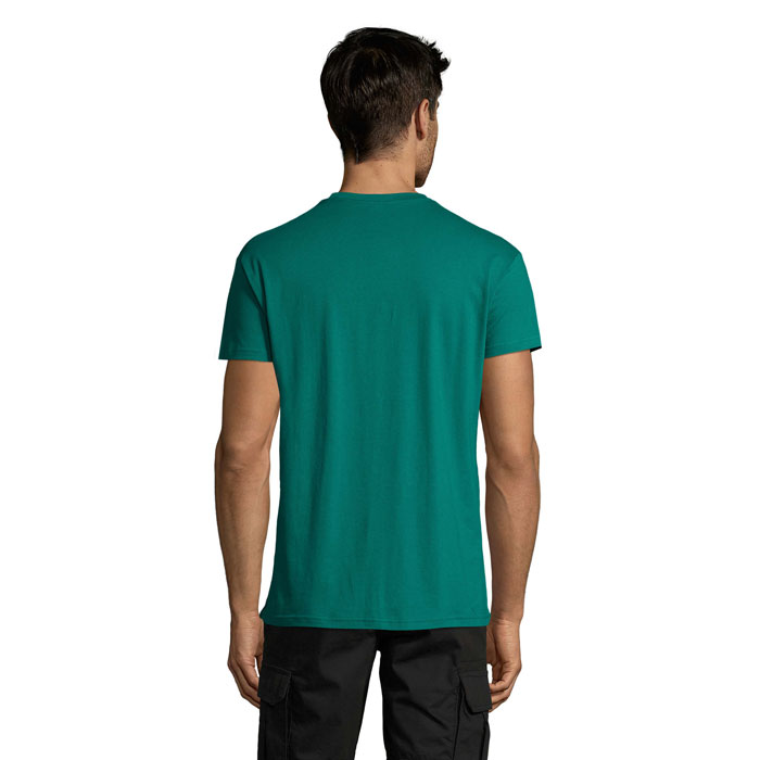 s11380-em-back