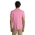 s11380-op-back